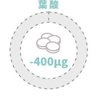 葉酸 400µg不足