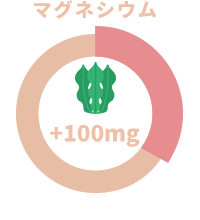 マグネシウム 100mg含有