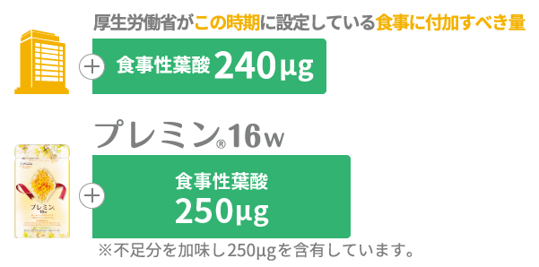プレミン®シリーズの時期ごとに適切な葉酸配合量グラフ