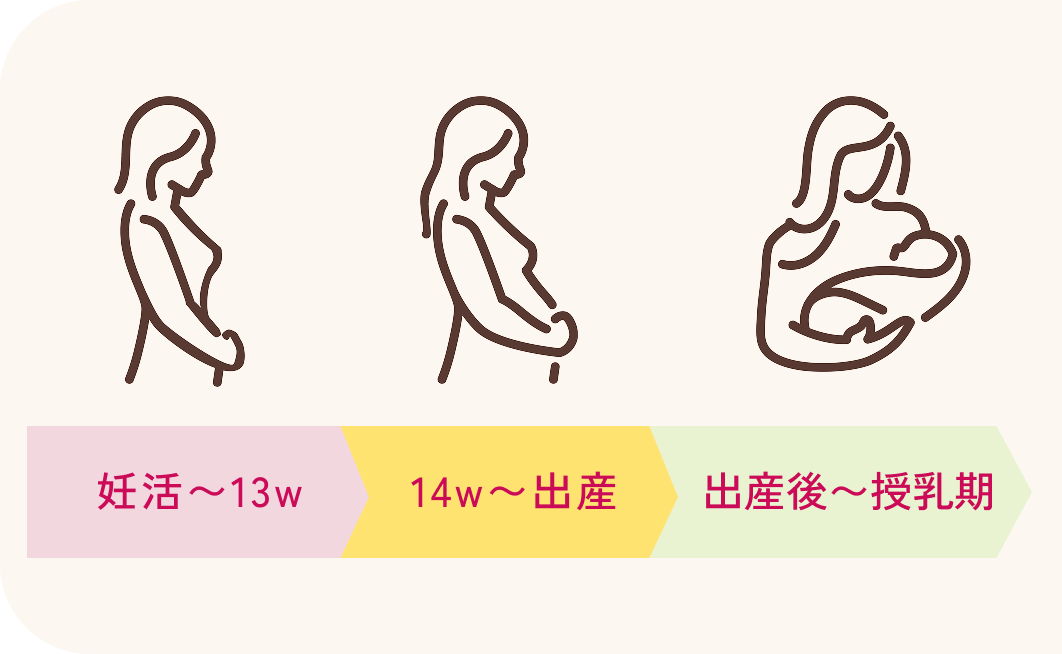 時期に合わせた適切な栄養摂取が可能