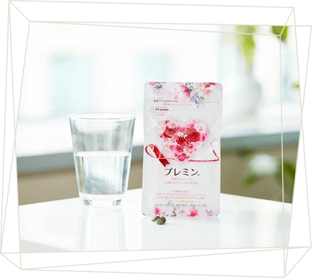 プレミン　葉酸サプリ　5個セット プレミン 葉酸サプリ 5個セットの通販はau PAY マーケット - 輸入雑貨